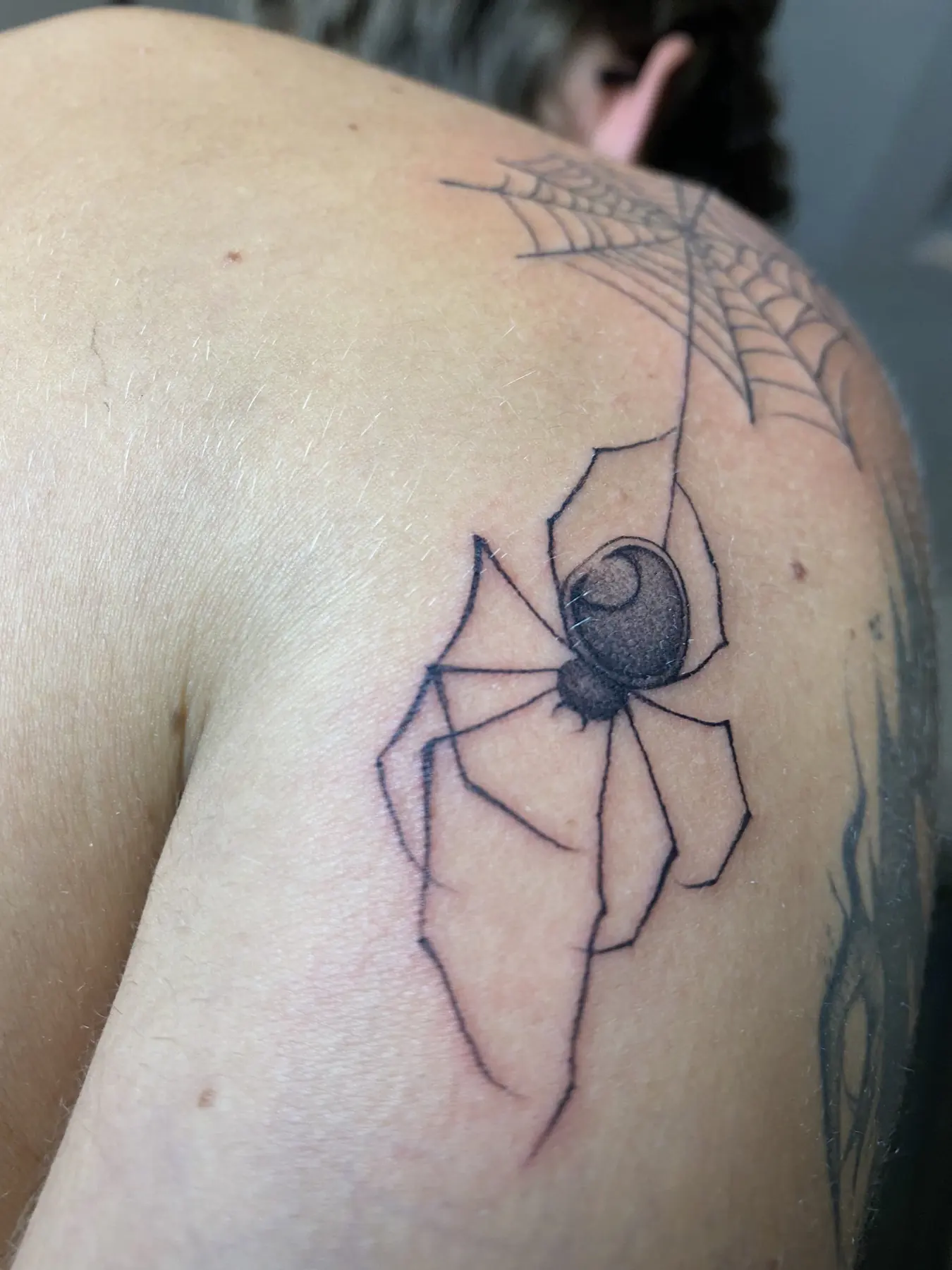 Fineline Tattoo einer Spinne mit Dotwork-Körper, die an einem Faden von einem Spinnennetz an der Schulter hängt, Wien
