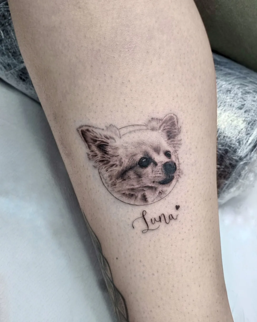 Mikro-realistisches Porträt-Tattoo eines Chihuahuas im Kreis mit dem Schriftzug „Luna“ und Herz am Bein, Black & Grey, Wien