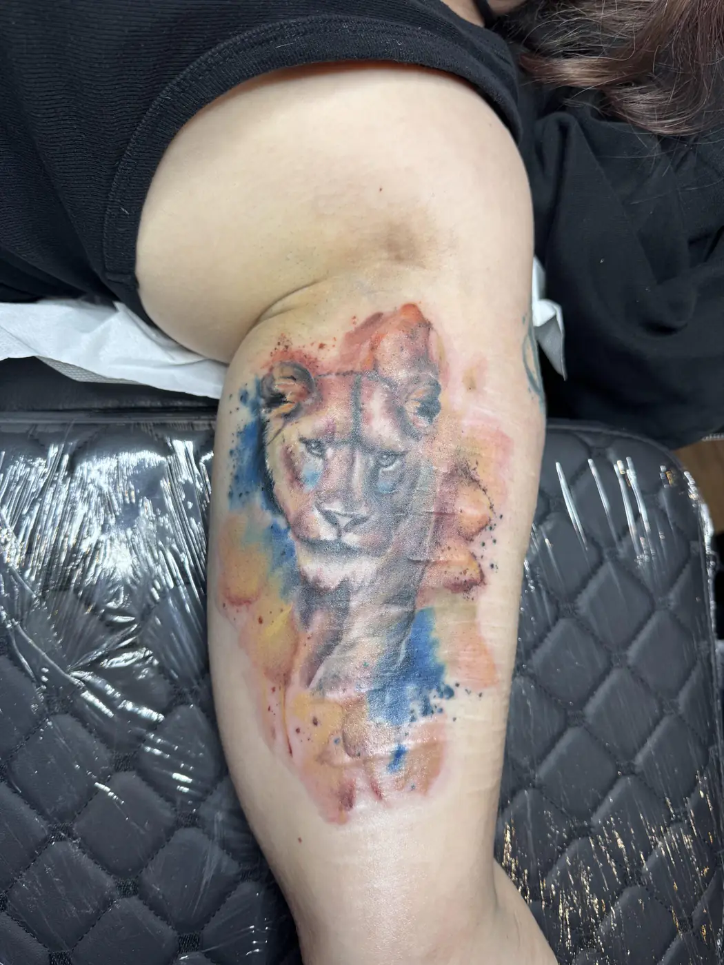 Watercolor Tattoo einer Löwin mit blauen und orangefarbenen Aquarell-Flächen an der Rückseite des Oberarms, Tattoo Wien